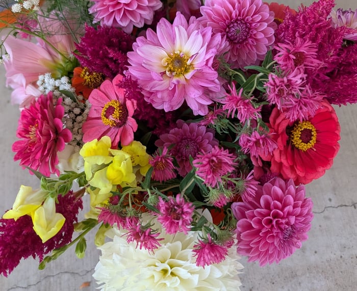 Bucket of Blooms  image
